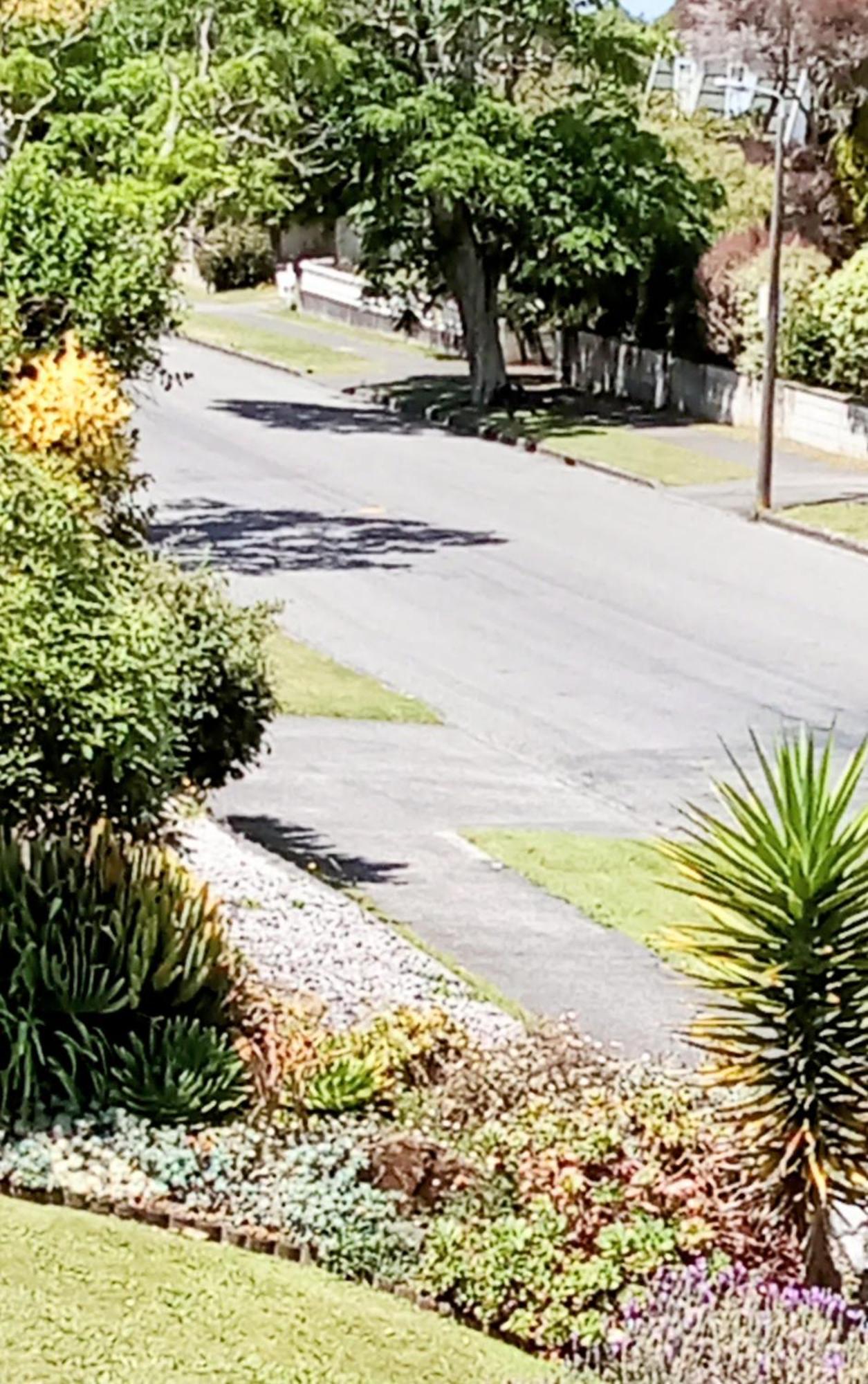 Park View 'Home Away From Home' Feilding Bagian luar foto